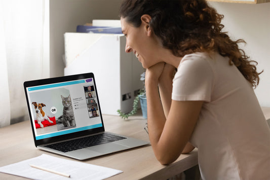 Get to know your team